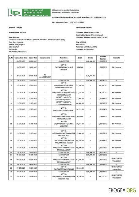 Modèle Word et PDF de relevé de compte de la Banque orientale de commerce de l'Inde